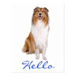 Hello Collie Puppy Dog Greeting Postcard