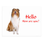 Hello Collie Puppy Dog Greeting Postcard