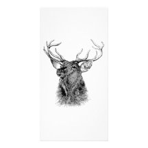 HELLO DEER CUSTOM PHOTO CARD