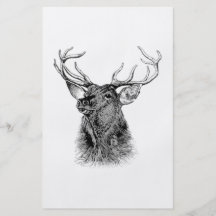 HELLO DEER FULL COLOUR FLYER