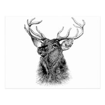 HELLO DEER POST CARDS