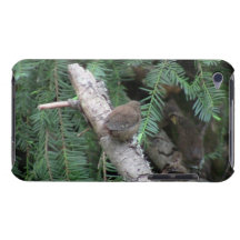 Hells Canyon Idaho Animals / Birds Aves Barely There iPod Covers
