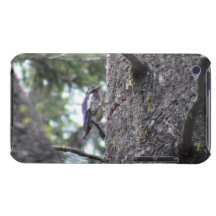 Hells Canyon Idaho Animals / Birds Aves Barely There iPod Cover