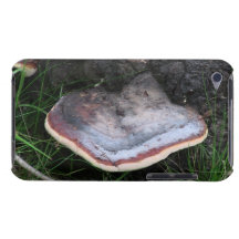 Hells Canyon Idaho Flora Fungi Lichen Mosses iPod Case-Mate Cases