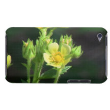 Hells Canyon Idaho Flora Wildflowers Flowers iPod Touch Case