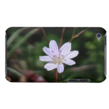 Hells Canyon Idaho Flora Wildflowers Flowers iPod Case-Mate Cases