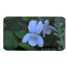 Hells Canyon Idaho Flora Wildflowers Flowers iPod Touch Case-Mate Case