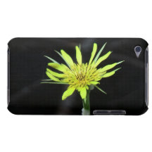 Hells Canyon Idaho Flora Wildflowers Flowers iPod Touch Cover
