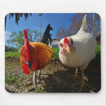 hen and rooster mouse pad