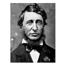 Henry David Thoreau Postcards