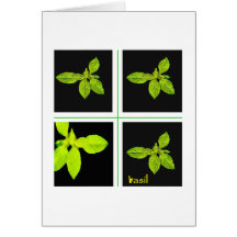 Herb - Basil card