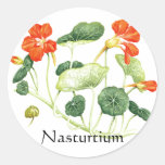 Herb Garden Series - Nasturtium Round Sticker