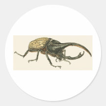 Hercules Beetle Round Stickers