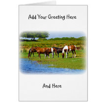 Herd of Horses Greeting Cards