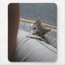 here kitty kitty kitty mousepads