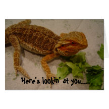 Here's lookin' at you... birthday greetings cards