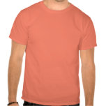 Hermes Tshirt