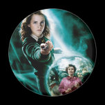 Hermione Granger and Professor Umbridge magnets