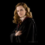Hermione Granger Scholarly posters