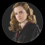 Hermione Granger Scholarly stickers