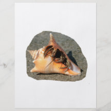 Hermit Crab on Sand Coming out of shell Flyer