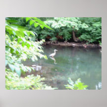 Heron at Fenway Poster