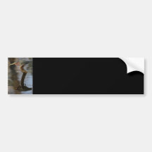 heron bumper stickers