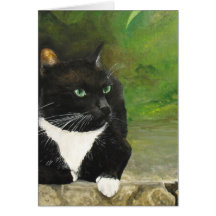 Hershey Cat Fine Art Notecards