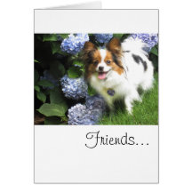 Hershey Kiss Hero Kennel Card Features Pride