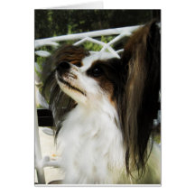 Hershey Kiss Hero Kennel Papillon Notecard