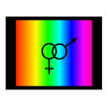 Heterosexual Rainbow Postcard