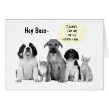HEY BOSS WE ALL SAY HAPPY BIRTHDAY GREETING CARDS