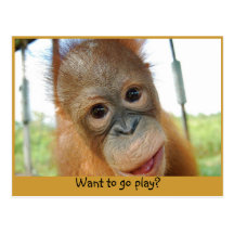 Hey, I'm a Cute Primate Postcards