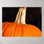 Hey Pumpkin Print