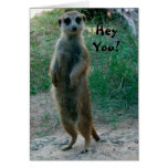 Hey You Meerkat Birthday Card