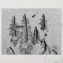 Hi in sand black and white feet hand full color flyer