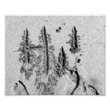 Hi in sand black and white feet hand photo art