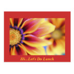 Hi...Let's Do Lunch Post Card