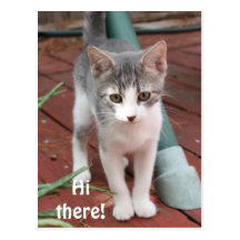 Hi there! post card