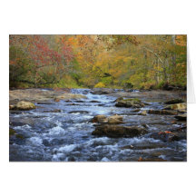 Hiawassee River in Autumn Greeting Card