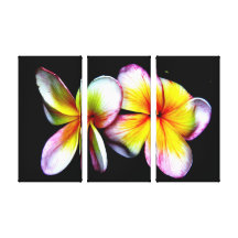 Hibiscus Bliss  - Wrapped Canvas Stretched Canvas Prints