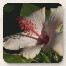 Hibiscus Flower Cork Coaster