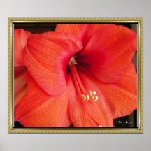 Hibiscus Flower Posters