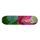Hibiscus Flowers Skate Deck