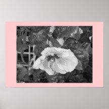 Hibiscus Print