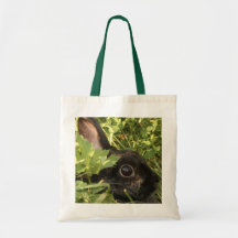Hidden Bags