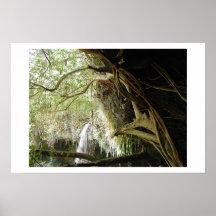 hidden falls poster