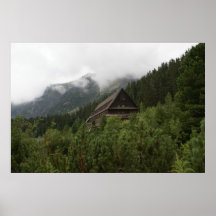 Hidden in Nature Poster