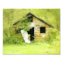 Hidden Treasure Custom Photo
