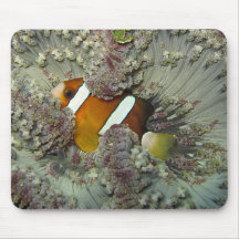 Hiding clown fish mousepad